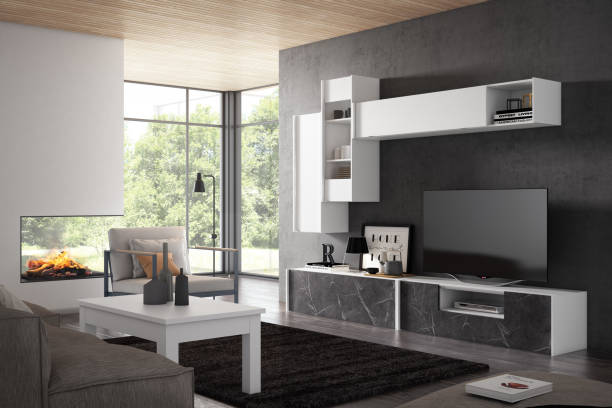 Nice minimalist livingroom with modern fornitures.